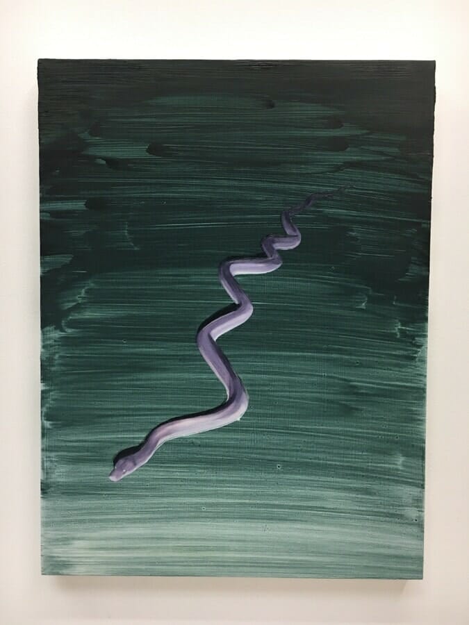 IMG_5653 Black snake
