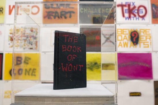 An encased art piece of The Book of Wont