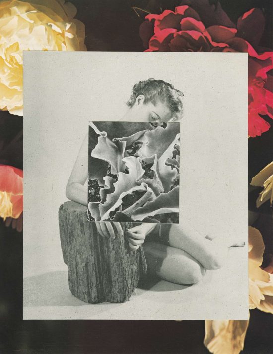 Sondra Meszaros / Ruffle Gaze