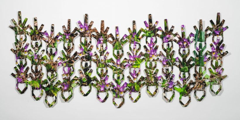 the knots of the net; Calypso Orchid | 2021 | Folded archival inkjet print, archival adhesive | 2/3 edition | 20.5 x 45 x .25 in.