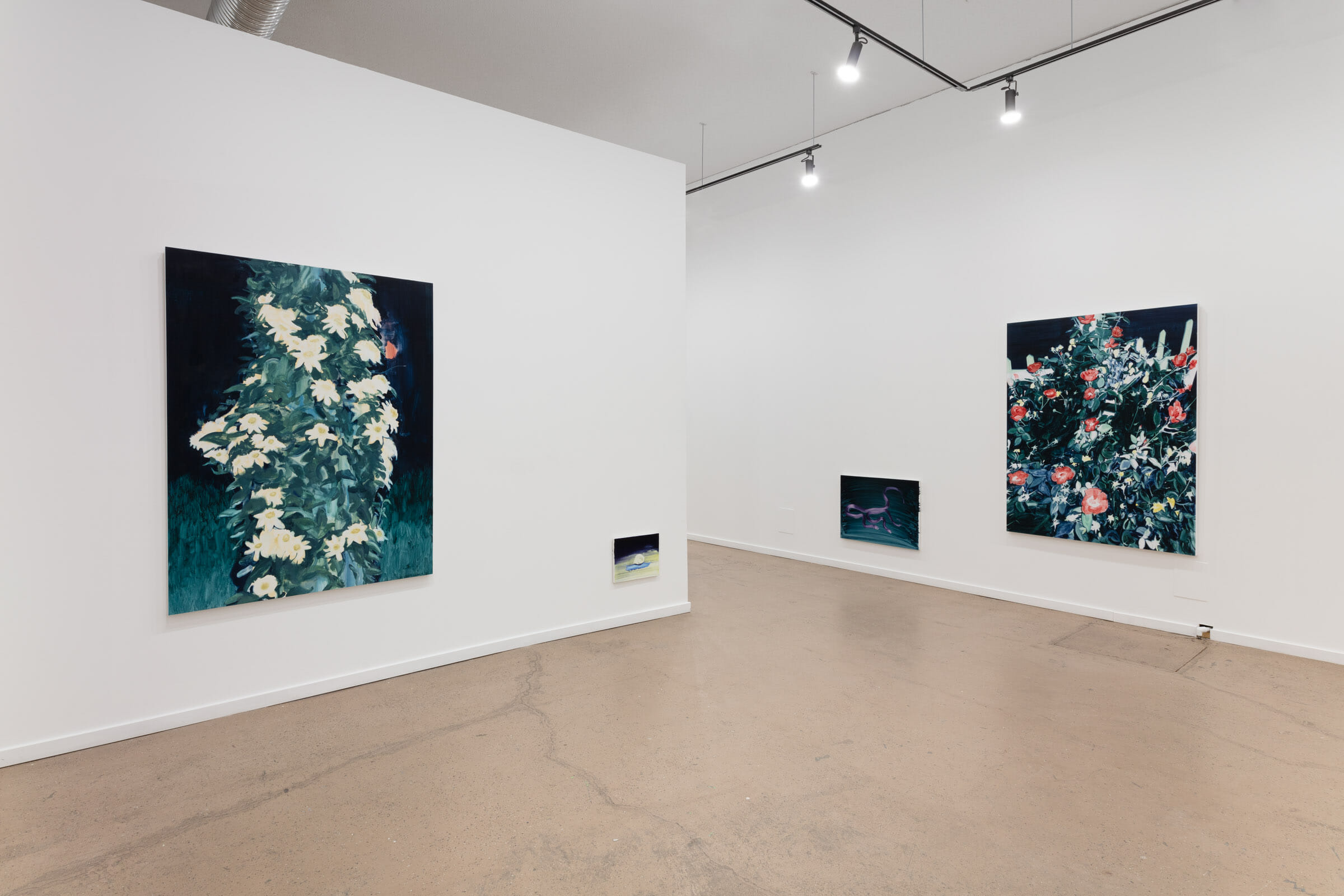 Laura Findlay | The Necromancer's Garden Exhibit