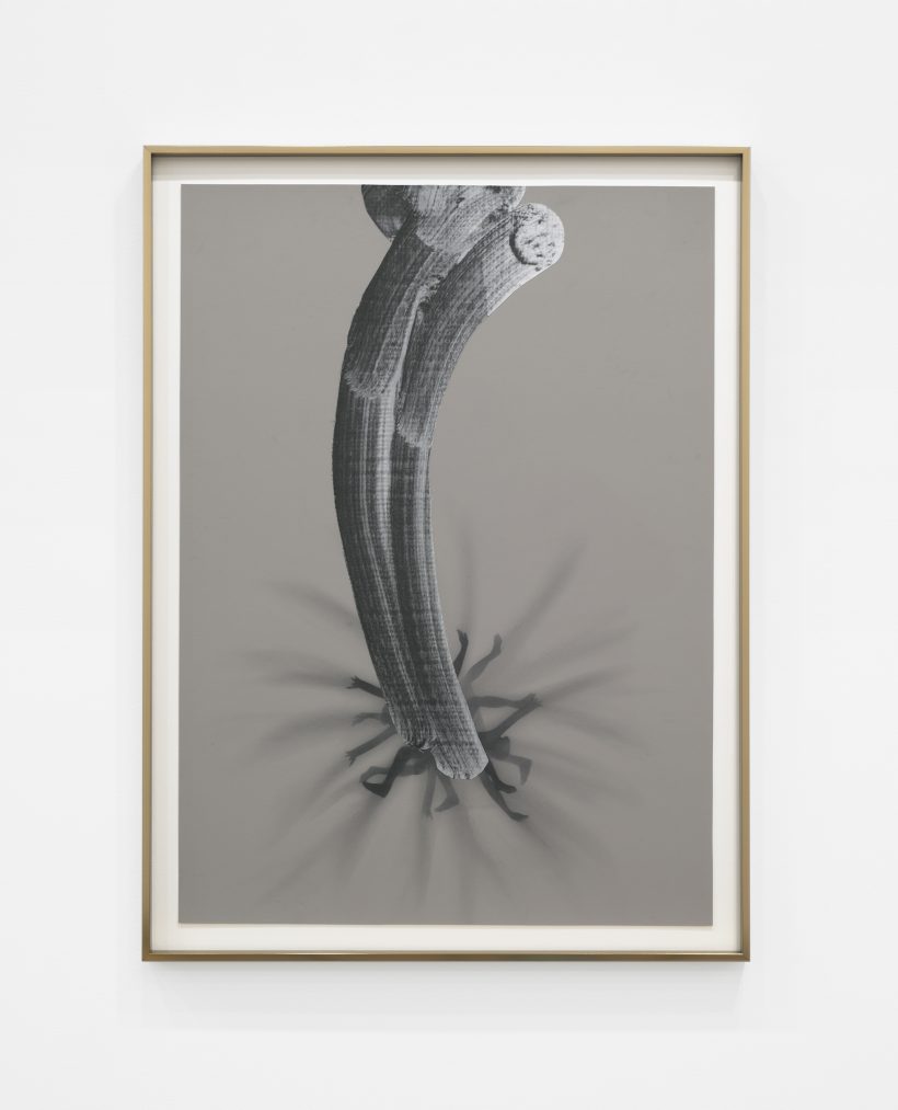 Robin Arseneault | Spectral Maneuver 10 | 2022 | 28.5 x 21 in. | graphite and collage on paper
